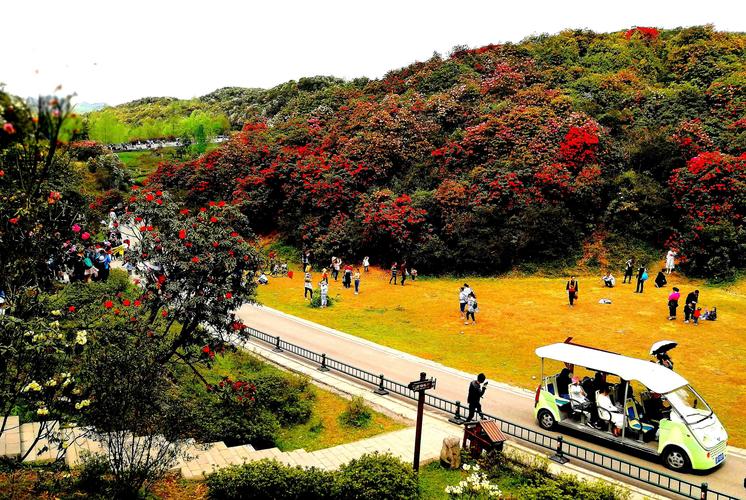 深层互联讲解器