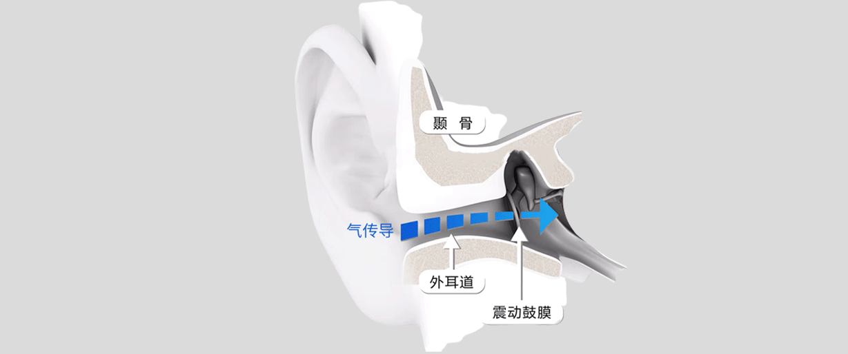 人体工程学非入耳式无线讲解器